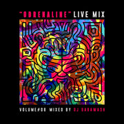 PWNED presents "ODORENARIN" LIVE MIX #08 Mixed by GABAWASH